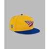 GLOBAL WARNING COLOMBIA COLORBLOCK CROWN SNAPBACK HAT 150014GRL