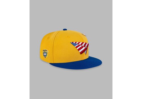 Paper Planes GLOBAL WARNING COLOMBIA COLORBLOCK CROWN SNAPBACK HAT 150014GRL