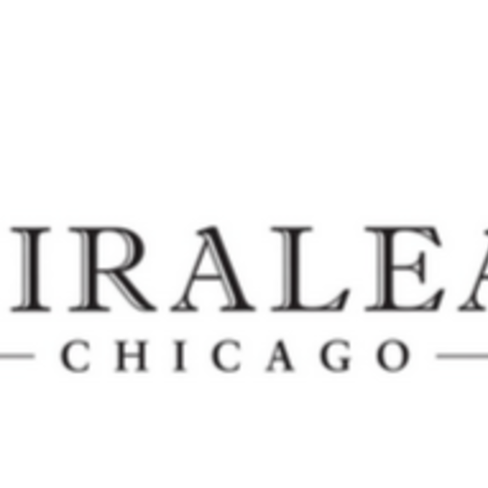 Shiraleah Chicago