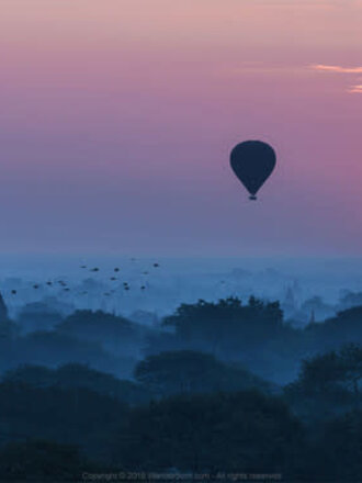 Artist Edition Scarf Bagan in Blue