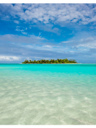 Artist Edition Scarf