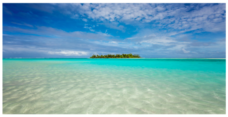 Artist Edition Scarf