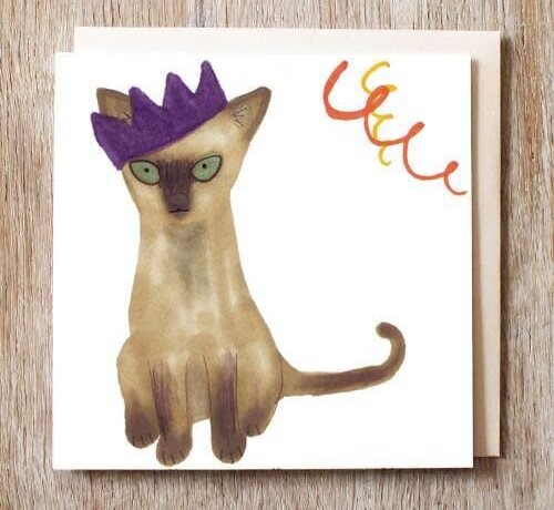 Fiona the Cat in a Party Hat
