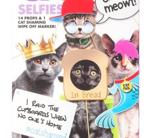 Kensington Cat Selfies