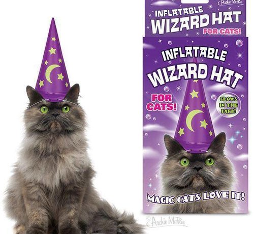 Merlin Moggie Inflatable Wizard Hat