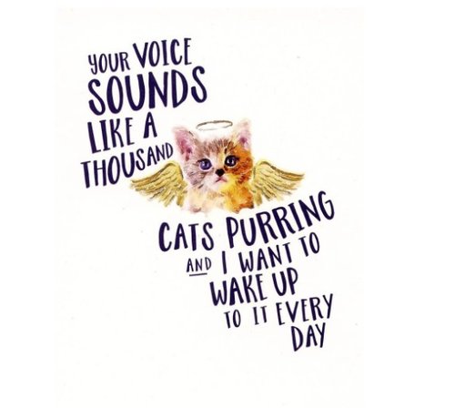 "Your Voice Sounds Like A Thousand Cats Purring" Card