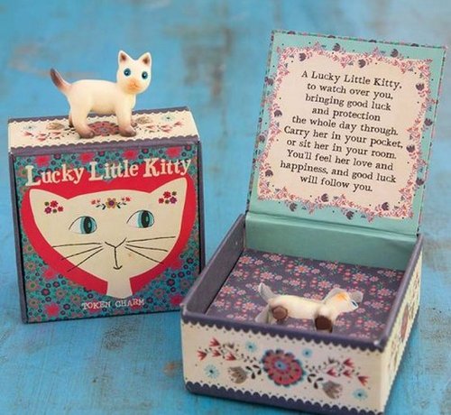Lucky Little Kitty