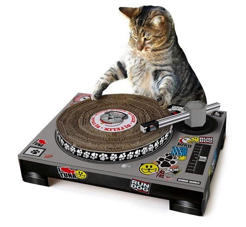 DJ Kittie Deck