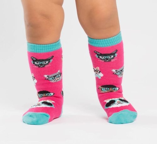 Youngson Mensa Smarty Cats Toddler's Socks