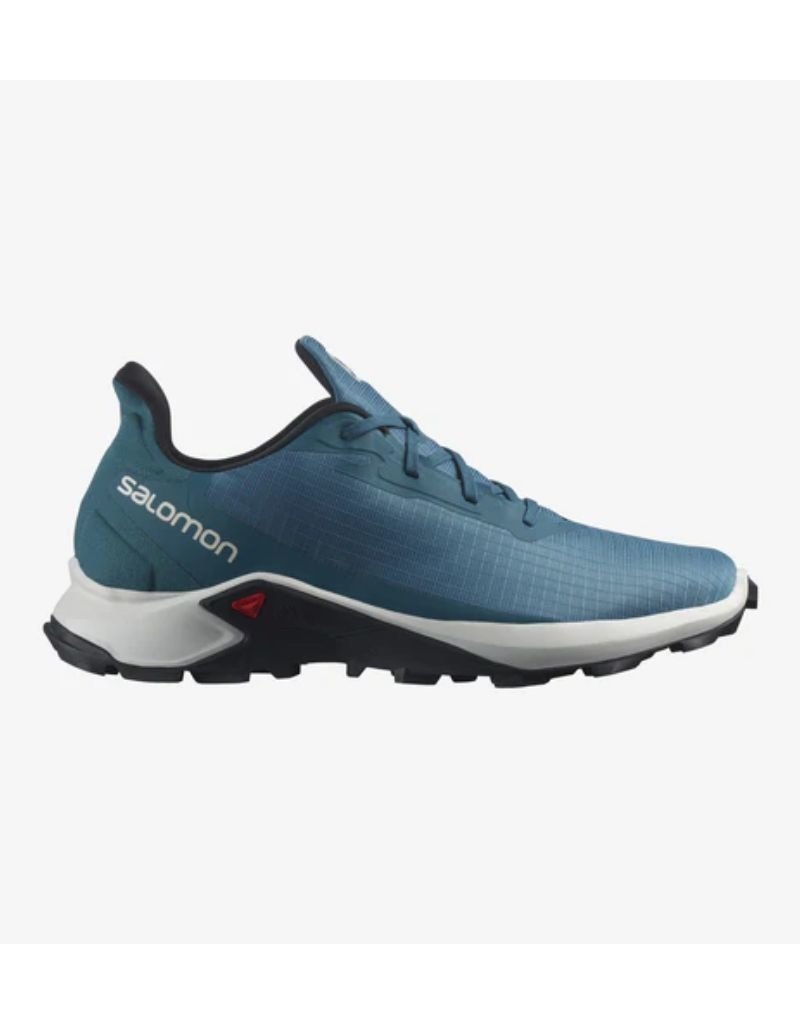 Salomon Men's Alphacross 3