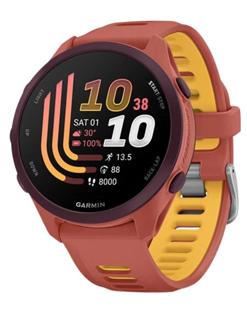 Garmin Forerunner 170 Music
