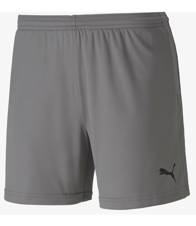 Puma TEAM GOAL23 SHORTS (GREY)