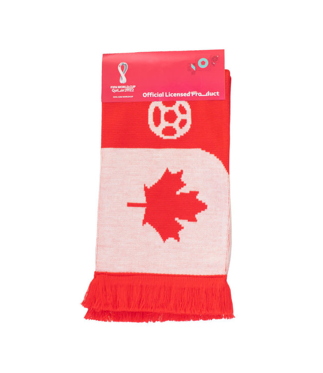 WORLD CUP 2022 SCARFS