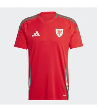 WALES HOME 2024 JERSEY
