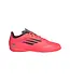 F50 CLUB IN J - TURBO/AURBLA/PLATINM