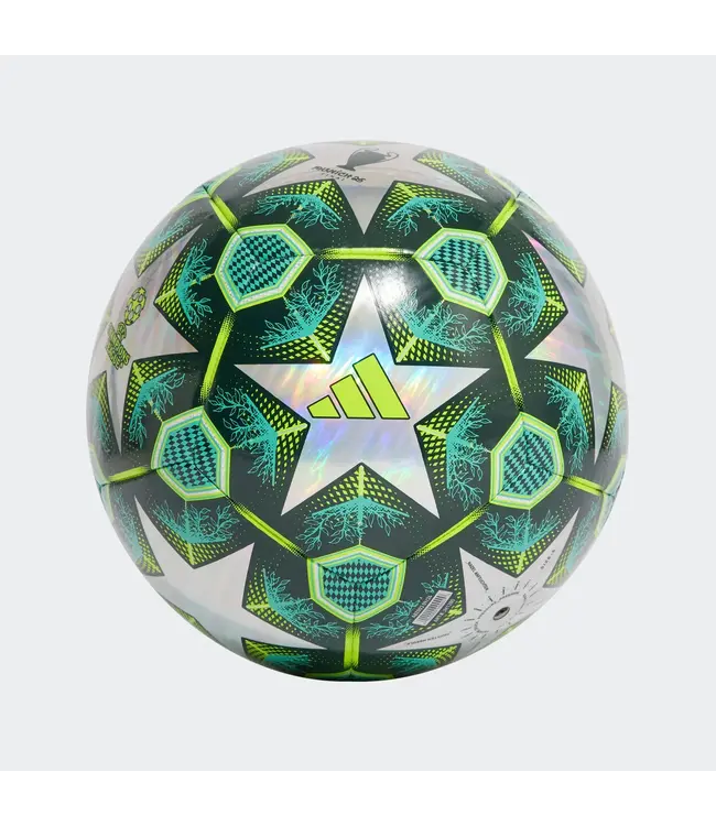 UCL TRAINING BALL