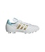 COPA MUNDIAL - ARGENTINA - FTWWHT/ICEBLU/GOLDMT