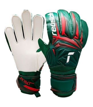 ATTRAKT SOLID - GREEN/WHITE/RED