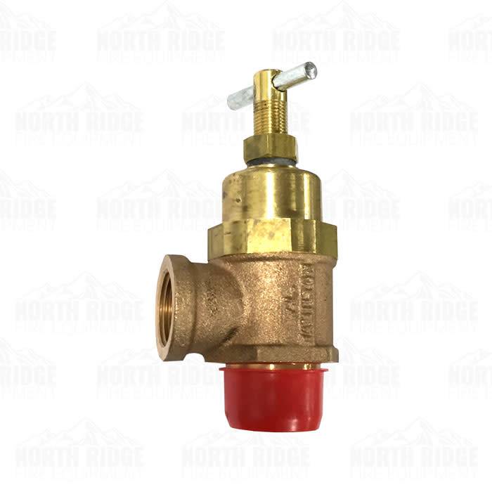 Pentair Pentair Pressure Relief Valve 300 PSI Adjustable