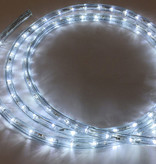 Flexilight 12V 2-Wire White/Clear LED Lighting (price per foot)