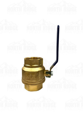 Gate Valve Cast Iron 3 inch - Legend Valve 116-123