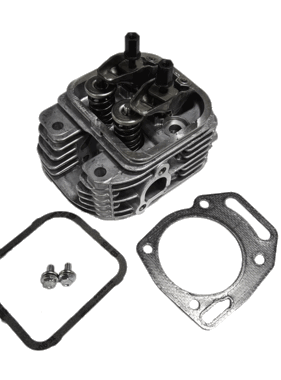 Briggs & Stratton B&S 84002011 Cylinder Head Complete 356447-0189-G1