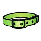Hamilton 5/8in Neon Nylon Dog Collar