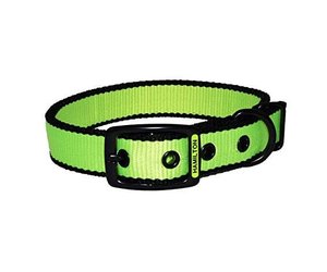 hamilton dog collar