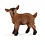 Brown Goat Kid