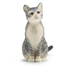 Grey Sitting Cat