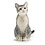 Grey Sitting Cat