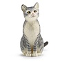 Grey Sitting Cat