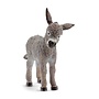 Donkey Foal