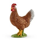 Hen