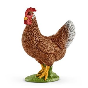 Hen