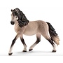 Andalusian Mare