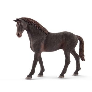 English Thoroughbred Stallion