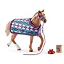 English Thoroughbred w/ Blanket