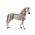 Holsteiner Gelding
