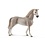Holsteiner Gelding