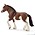 Jument Clydesdale Mare