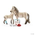 First Aid Kit for Icelandic Horses