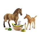 Baby Animal Care w/ Quarter Horses