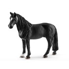 Tennessee Walker Gelding