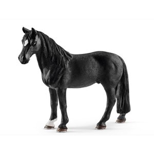 Tennessee Walker Gelding