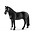 Tennessee Walker Gelding