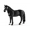 Tennessee Walker Gelding