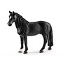 Tennessee Walker Gelding
