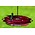 3-in-1 Hummingbird Feeder