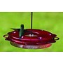 3-in-1 Hummingbird Feeder